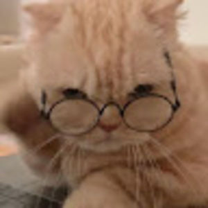 Meet your Posher, Kaitlyn